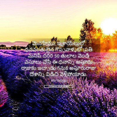 Picture 05 - 2 రాజులు 15:20 TELIRV - మెనహేము, - Bible Verse Picture
