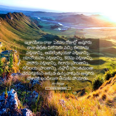 Picture 05 - 2 రాజులు 15:29 TELIRV - ఇశ్రాయేలు రాజు - Bible Verse Picture