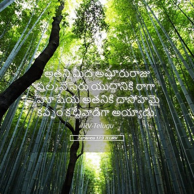 Picture 05 - 2 రాజులు 17:3 TELIRV - అతని మీద - Bible Verse Picture