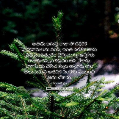 Picture 05 - 2 రాజులు 17:4 TELIRV - అతడు ఐగుప్తు రాజు - Bible Verse Picture