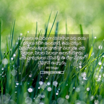 Picture 05 - 2 రాజులు 17:41 TELIRV - ఆ ప్రజలు ఆ విధంగా - Bible Verse Picture