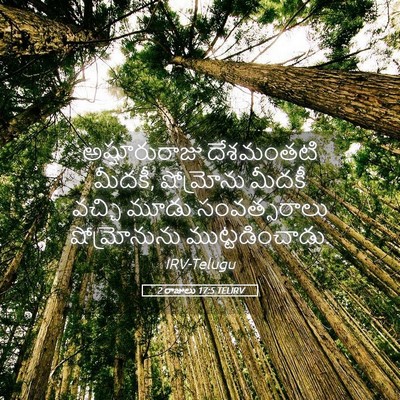 Picture 05 - 2 రాజులు 17:5 TELIRV - అష్షూరురాజు - Bible Verse Picture