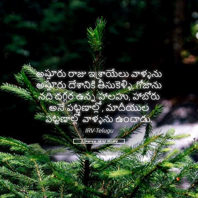 Picture 05 - 2 రాజులు 18:12 TELIRV - అష్షూరు రాజు - Bible Verse Picture