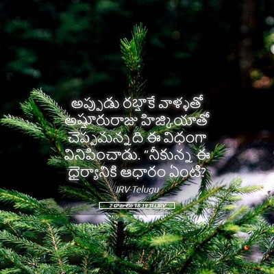 Picture 05 - 2 రాజులు 18:19 TELIRV - అప్పుడు రబ్షాకే - Bible Verse Picture
