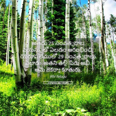 Picture 05 - 2 రాజులు 18:2 TELIRV - అతడు 25 సంవత్సరాల - Bible Verse Picture