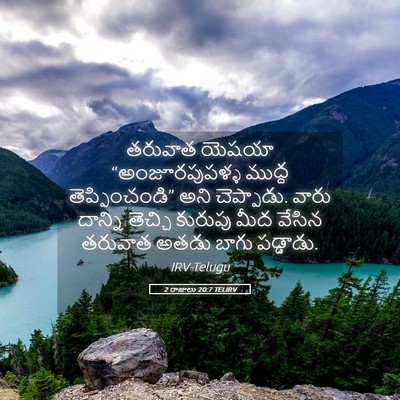 Picture 05 - 2 రాజులు 20:7 TELIRV - తరువాత యెషయా - Bible Verse Picture