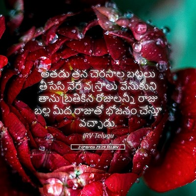 Picture 05 - 2 రాజులు 25:29 TELIRV - అతడు తన చెరసాల - Bible Verse Picture