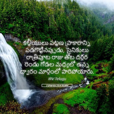 Picture 05 - 2 రాజులు 25:4 TELIRV - కల్దీయులు పట్టణ - Bible Verse Picture