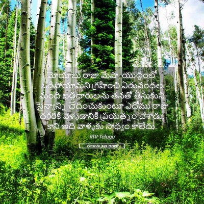 Picture 05 - 2 రాజులు 3:26 TELIRV - మోయాబు రాజు మేషా, - Bible Verse Picture
