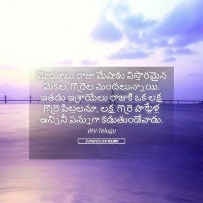 Picture 05 - 2 రాజులు 3:4 TELIRV - మోయాబు రాజు - Bible Verse Picture