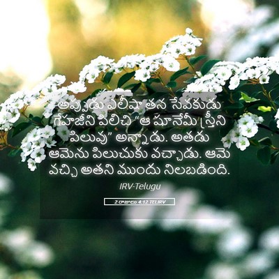 Picture 05 - 2 రాజులు 4:12 TELIRV - అప్పుడు ఎలీషా తన - Bible Verse Picture