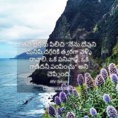 Picture 05 - 2 రాజులు 4:22 TELIRV - తన భర్తను పిలిచి - Bible Verse Picture