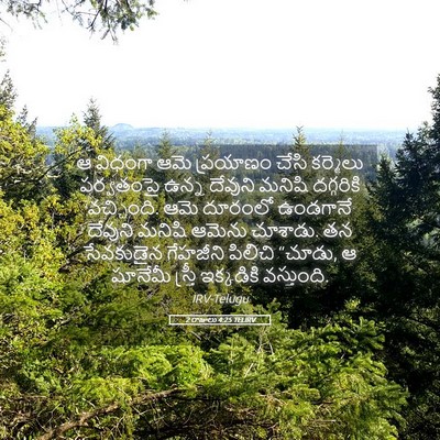 Picture 05 - 2 రాజులు 4:25 TELIRV - ఆ విధంగా ఆమె - Bible Verse Picture