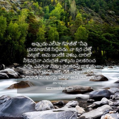 Picture 05 - 2 రాజులు 4:29 TELIRV - అప్పుడు ఎలీషా - Bible Verse Picture