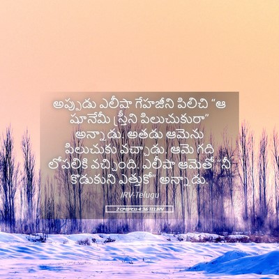 Picture 05 - 2 రాజులు 4:36 TELIRV - అప్పుడు ఎలీషా - Bible Verse Picture