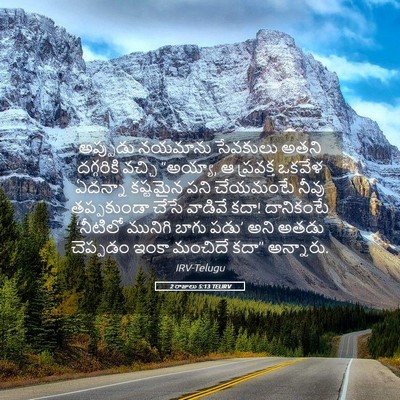 Picture 05 - 2 రాజులు 5:13 TELIRV - అప్పుడు నయమాను - Bible Verse Picture