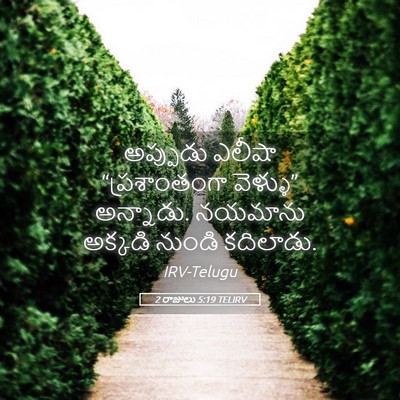 Picture 05 - 2 రాజులు 5:19 TELIRV - అప్పుడు ఎలీషా - Bible Verse Picture