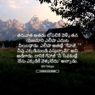 Picture 05 - 2 రాజులు 5:25 TELIRV - తరువాత అతడు - Bible Verse Picture