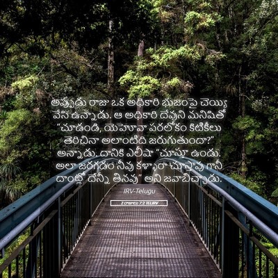 Picture 05 - 2 రాజులు 7:2 TELIRV - అప్పుడు రాజు ఒక - Bible Verse Picture