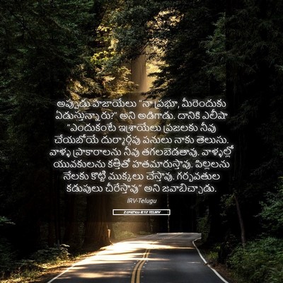 Picture 05 - 2 రాజులు 8:12 TELIRV - అప్పుడు హజాయేలు - Bible Verse Picture