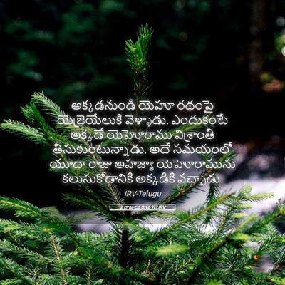 Picture 05 - 2 రాజులు 9:16 TELIRV - అక్కడనుండి యెహూ - Bible Verse Picture