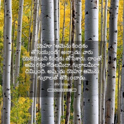 Picture 05 - 2 రాజులు 9:33 TELIRV - యెహూ “ఆమెను - Bible Verse Picture
