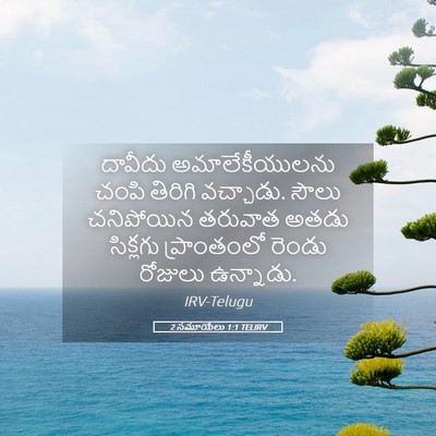 Picture 05 - 2 సమూయేలు 1:1 TELIRV - దావీదు - Bible Verse Picture