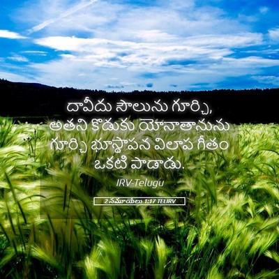 Picture 05 - 2 సమూయేలు 1:17 TELIRV - దావీదు సౌలును - Bible Verse Picture