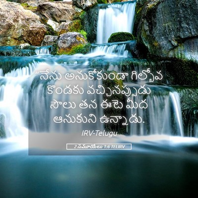Picture 05 - 2 సమూయేలు 1:6 TELIRV - “నేను అనుకోకుండా - Bible Verse Picture