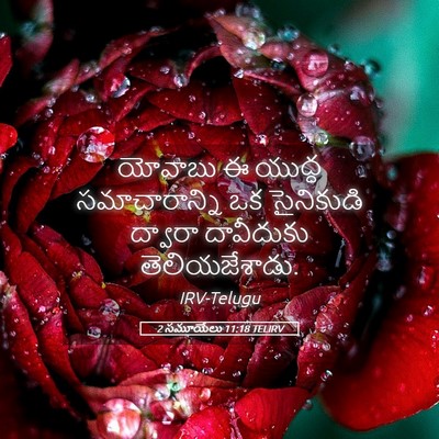 Picture 05 - 2 సమూయేలు 11:18 TELIRV - యోవాబు ఈ యుద్ధ - Bible Verse Picture