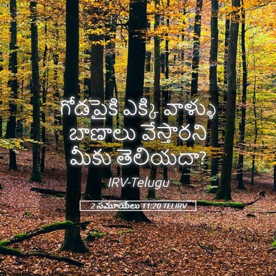 Picture 05 - 2 సమూయేలు 11:20 TELIRV - గోడపైకి ఎక్కి - Bible Verse Picture