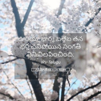 Picture 05 - 2 సమూయేలు 11:26 TELIRV - ఊరియా భార్య - Bible Verse Picture