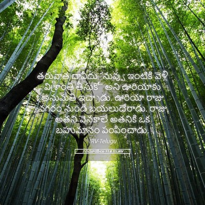 Picture 05 - 2 సమూయేలు 11:8 TELIRV - తరువాత దావీదు - Bible Verse Picture