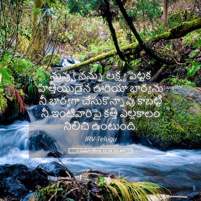 Picture 05 - 2 సమూయేలు 12:10 TELIRV - నువ్వు నన్ను - Bible Verse Picture