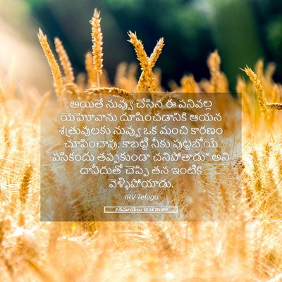 Picture 05 - 2 సమూయేలు 12:14 TELIRV - అయితే నువ్వు - Bible Verse Picture