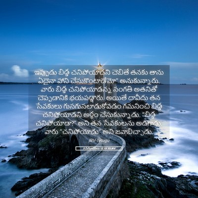 Picture 05 - 2 సమూయేలు 12:19 TELIRV - ఇప్పుడు బిడ్డ - Bible Verse Picture
