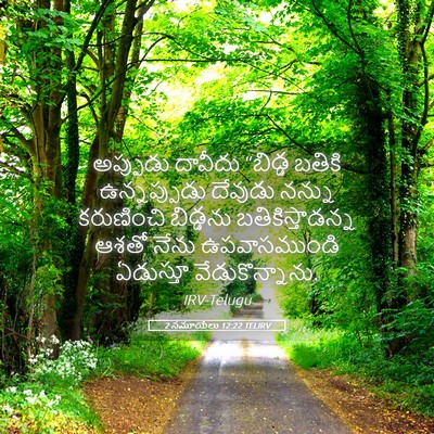 Picture 05 - 2 సమూయేలు 12:22 TELIRV - అప్పుడు దావీదు - Bible Verse Picture