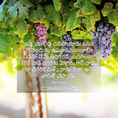 Picture 05 - 2 సమూయేలు 12:23 TELIRV - ఇప్పుడు బిడ్డ - Bible Verse Picture