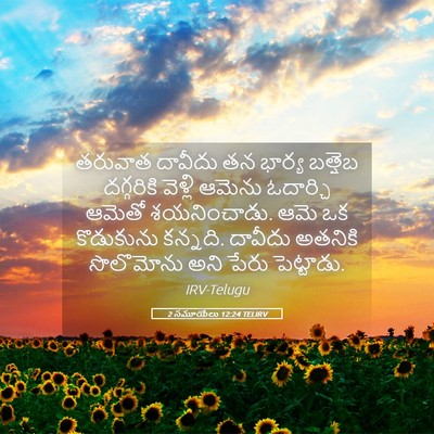 Picture 05 - 2 సమూయేలు 12:24 TELIRV - తరువాత దావీదు తన - Bible Verse Picture