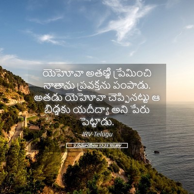 Picture 05 - 2 సమూయేలు 12:25 TELIRV - యెహోవా అతణ్ణి - Bible Verse Picture