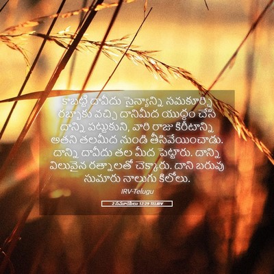 Picture 05 - 2 సమూయేలు 12:29 TELIRV - కాబట్టి దావీదు - Bible Verse Picture
