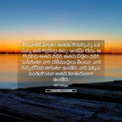 Picture 05 - 2 సమూయేలు 12:3 TELIRV - బీదవాడికి మాత్రం - Bible Verse Picture