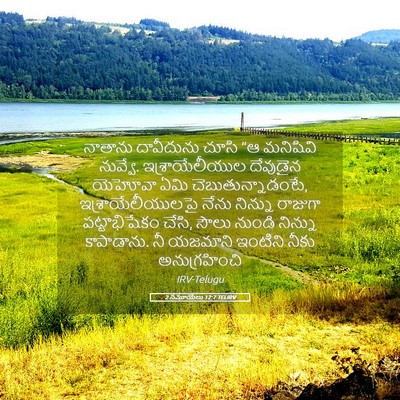 Picture 05 - 2 సమూయేలు 12:7 TELIRV - నాతాను దావీదును - Bible Verse Picture