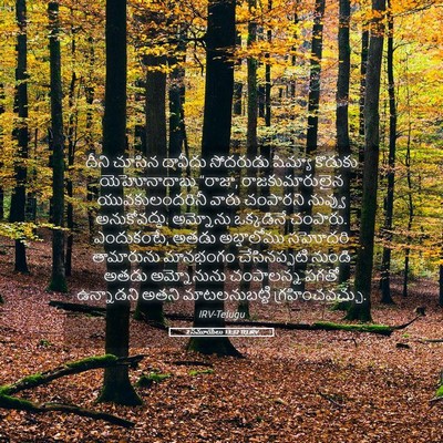 Picture 05 - 2 సమూయేలు 13:32 TELIRV - దీని చూసిన దావీదు - Bible Verse Picture