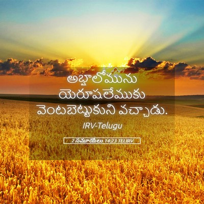 Picture 05 - 2 సమూయేలు 14:23 TELIRV - అబ్షాలోమును - Bible Verse Picture