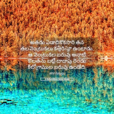 Picture 05 - 2 సమూయేలు 14:26 TELIRV - అతడు ఏడాదికొకసారి - Bible Verse Picture