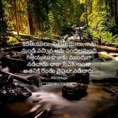 Picture 05 - 2 సమూయేలు 15:18 TELIRV - కెరేతీయులు, - Bible Verse Picture