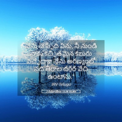 Picture 05 - 2 సమూయేలు 15:28 TELIRV - నేను చెప్పేది - Bible Verse Picture