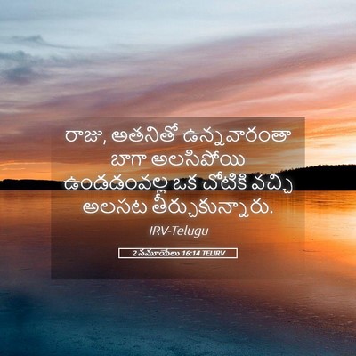 Picture 05 - 2 సమూయేలు 16:14 TELIRV - రాజు, అతనితో - Bible Verse Picture