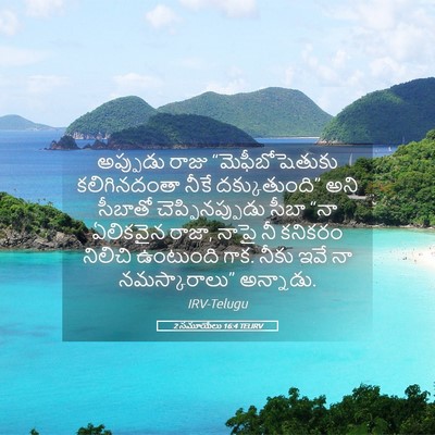 Picture 05 - 2 సమూయేలు 16:4 TELIRV - అప్పుడు రాజు - Bible Verse Picture